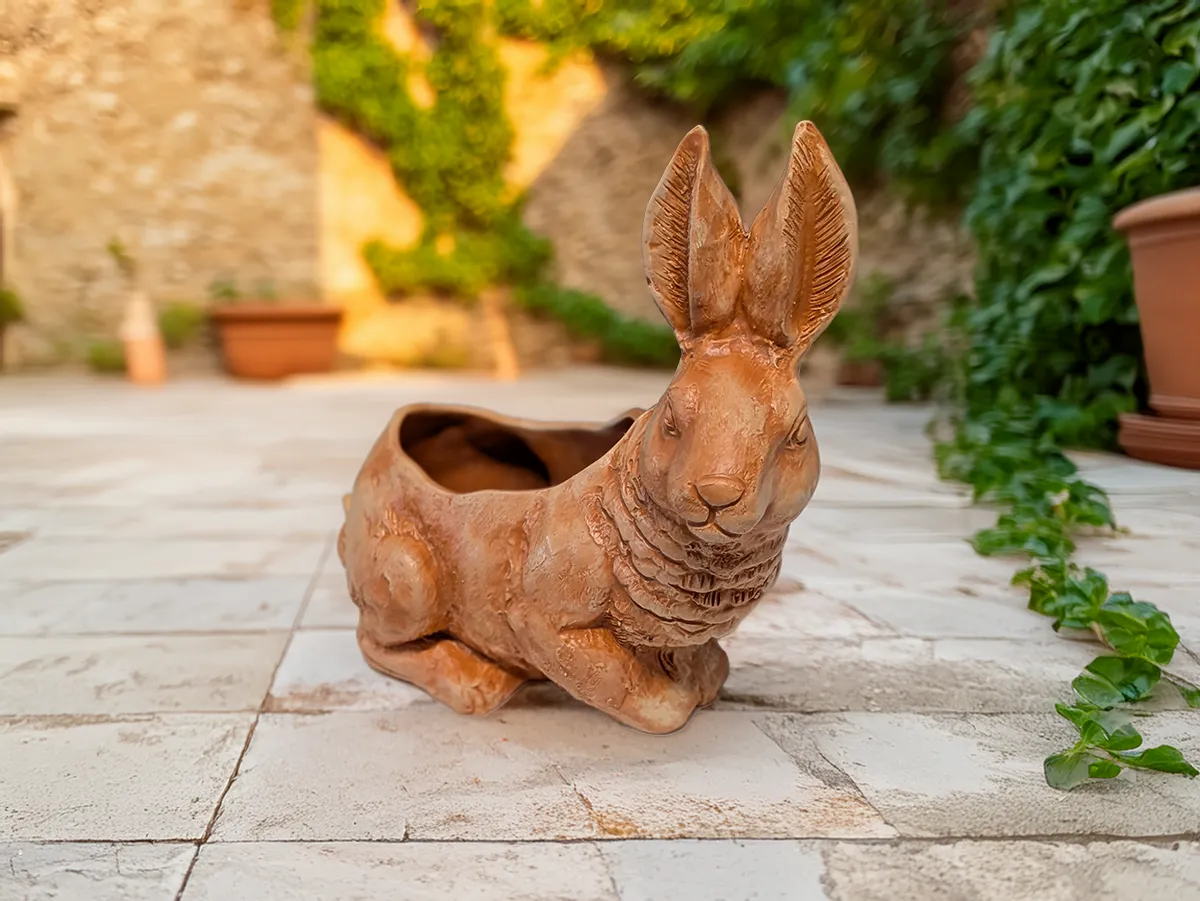 Rabbit